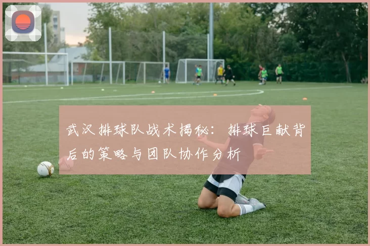武汉排球队战术揭秘：排球巨献背后的策略与团队协作分析
