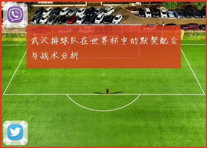 武汉排球队在世界杯中的默契配合与战术分析