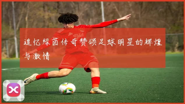 追忆绿茵传奇赞颂足球明星的辉煌与激情