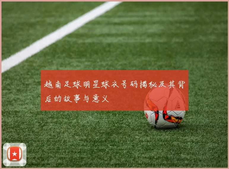 越南足球明星球衣号码揭秘及其背后的故事与意义